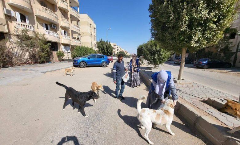 631774513 1476576691179413 3437860157867023761 n جريدة مؤسسة ايجي تايمز