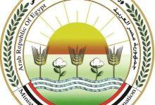 632654786 1480351567468592 5040331898136875521 n جريدة مؤسسة ايجي تايمز