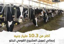 637665657 26544617478478430 3058710956094383771 n جريدة مؤسسة ايجي تايمز