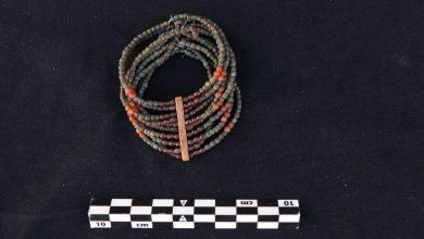 الكشف عن مجموعة من المقابر الصخرية بقبة الهواء بأسوان 4 641111480 1488042603366155 6562591139956592495 n جريدة مؤسسة ايجي تايمز