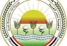 645023672 1492698422900573 4640911655648749924 n جريدة مؤسسة ايجي تايمز