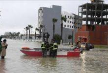 6661870090820202602050719421942 جريدة مؤسسة ايجي تايمز