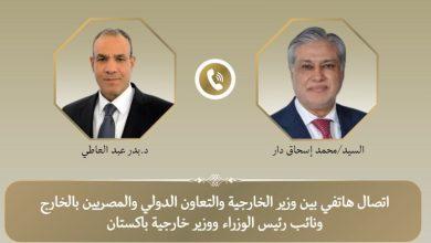 وزيرا الخارجية المصري والباكستاني يبحثان المستجدات في غزة والتطورات الإقليمية 61 67ed298d4c59b754f0306025 جريدة مؤسسة ايجي تايمز