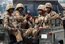 739 جريدة مؤسسة ايجي تايمز