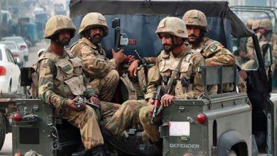 739 جريدة مؤسسة ايجي تايمز