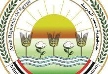 0ca661b219a04075945a4645765e7ebb zeraaaa جريدة مؤسسة ايجي تايمز