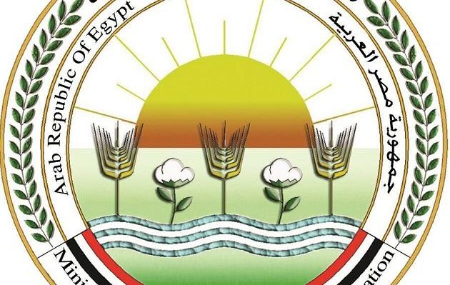 0ca661b219a04075945a4645765e7ebb zeraaaa جريدة مؤسسة ايجي تايمز