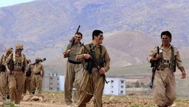 1145793 1606676531 جريدة مؤسسة ايجي تايمز