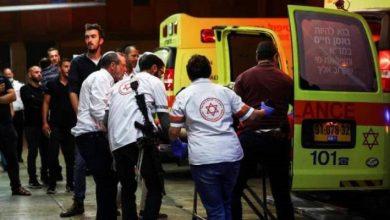 17301180440 جريدة مؤسسة ايجي تايمز