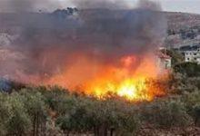 234 جريدة مؤسسة ايجي تايمز