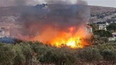 234 جريدة مؤسسة ايجي تايمز