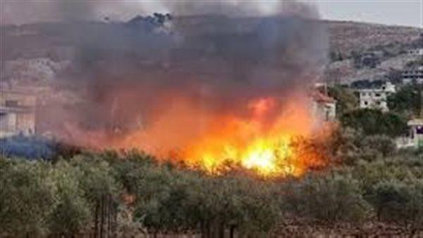 234 جريدة مؤسسة ايجي تايمز