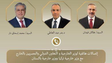 247032 جريدة مؤسسة ايجي تايمز