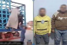 447 جريدة مؤسسة ايجي تايمز