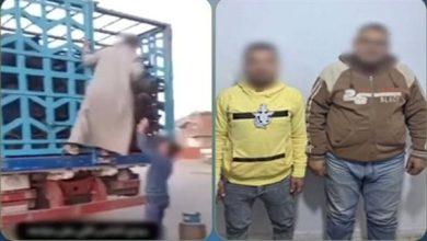 447 جريدة مؤسسة ايجي تايمز