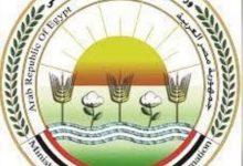 649240274 1501419012028514 2407457980153412287 n جريدة مؤسسة ايجي تايمز