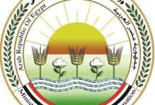 655813372 1515658017271280 9032095904282176504 n جريدة مؤسسة ايجي تايمز