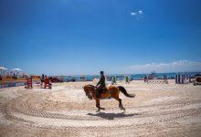 657835191 1520362063467542 5060114937286482172 n جريدة مؤسسة ايجي تايمز