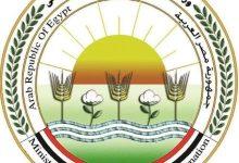 658776786 1518294327007649 5733914321726105310 n جريدة مؤسسة ايجي تايمز