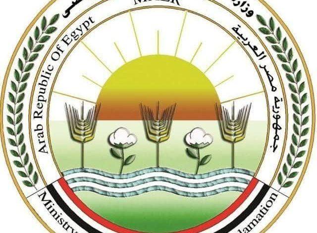 658776786 1518294327007649 5733914321726105310 n جريدة مؤسسة ايجي تايمز