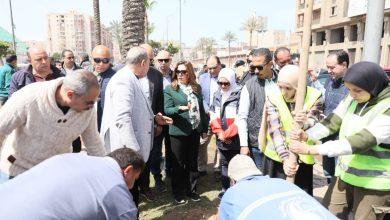 وزيرة التنمية المحلية والبيئة ومحافظ الإسكندرية يتفقدان أعمال زراعة الجزيرة الوسطى بشارع مصطفى كامل 74 660508747 1520970456740036 3434253502617216122 n جريدة مؤسسة ايجي تايمز