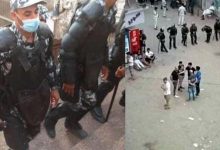 16603353251627580973 جريدة مؤسسة ايجي تايمز