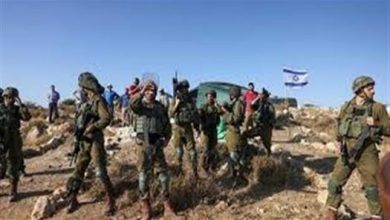 19 2024 638533632219135806 913 جريدة مؤسسة ايجي تايمز