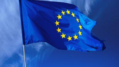 19 2025 638865642872675067 267 جريدة مؤسسة ايجي تايمز