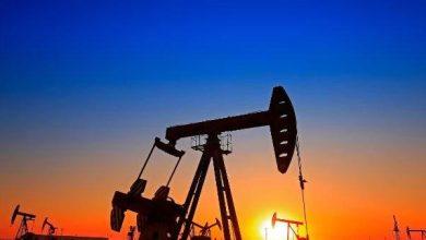 20251224 035520458 2 x1Ss5s جريدة مؤسسة ايجي تايمز