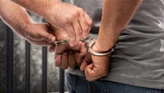 2026 2 15 11 52 51 454 جريدة مؤسسة ايجي تايمز