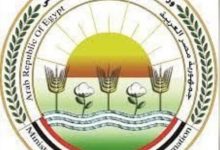 668555250 1529788479191567 671605025262533767 n جريدة مؤسسة ايجي تايمز