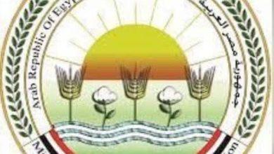 668555250 1529788479191567 671605025262533767 n جريدة مؤسسة ايجي تايمز