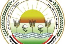 669343191 1531334135703668 606676011791920958 n جريدة مؤسسة ايجي تايمز