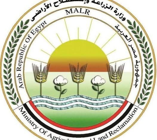 669343191 1531334135703668 606676011791920958 n جريدة مؤسسة ايجي تايمز