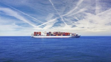 66c5a9b04c59b75ccb3a2eea جريدة مؤسسة ايجي تايمز