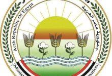 672686008 1620792809202238 4101977130968746057 n جريدة مؤسسة ايجي تايمز