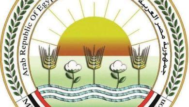 672686008 1620792809202238 4101977130968746057 n جريدة مؤسسة ايجي تايمز