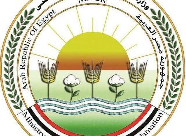 672686008 1620792809202238 4101977130968746057 n جريدة مؤسسة ايجي تايمز