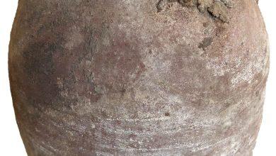 672698727 846249711097682 5709280517451649307 n جريدة مؤسسة ايجي تايمز