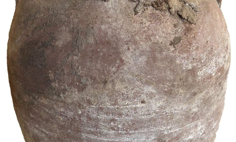 672698727 846249711097682 5709280517451649307 n جريدة مؤسسة ايجي تايمز