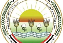 678900287 1543999524437129 4048646881012100112 n جريدة مؤسسة ايجي تايمز