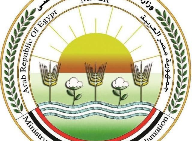 678900287 1543999524437129 4048646881012100112 n جريدة مؤسسة ايجي تايمز