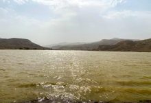 679947195 1542904594546622 8190567774105501245 n جريدة مؤسسة ايجي تايمز