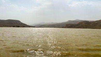 679947195 1542904594546622 8190567774105501245 n جريدة مؤسسة ايجي تايمز