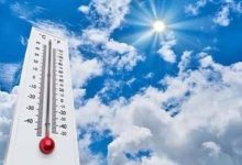 881446454000202602120827482748 جريدة مؤسسة ايجي تايمز