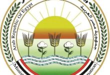 9c4930a1 6554 4bb2 83e3 df5751b3eae6 1 جريدة مؤسسة ايجي تايمز