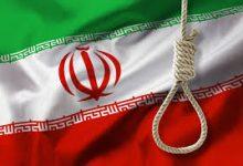 images 2 جريدة مؤسسة ايجي تايمز