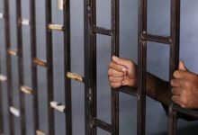 images 4 1 جريدة مؤسسة ايجي تايمز